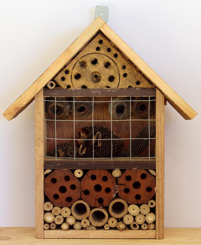 Insect house/ hotel