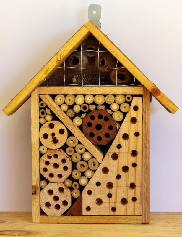 Insect house/ hotel