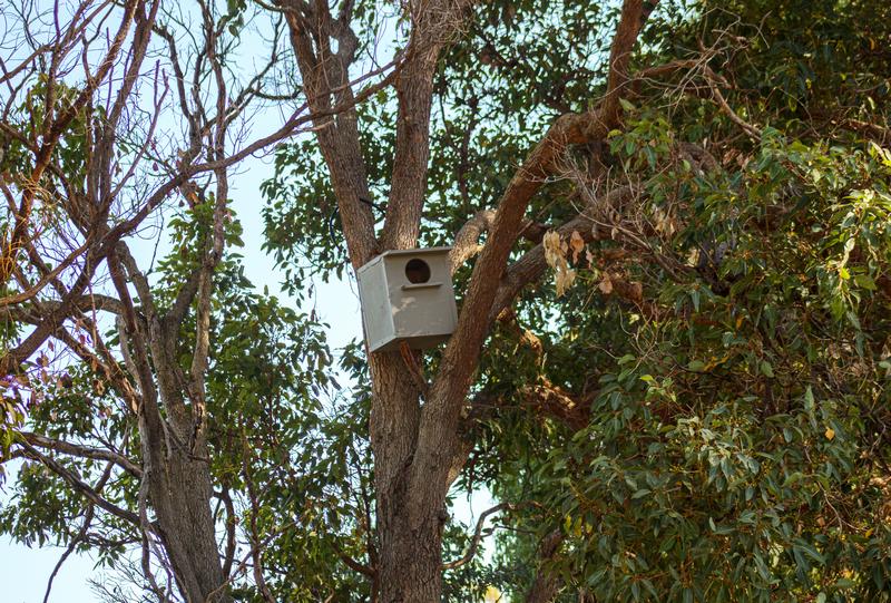 Installed Owl nest box